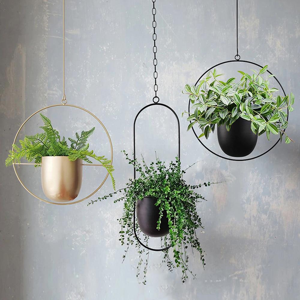 FloraFrame Hanging Planter
