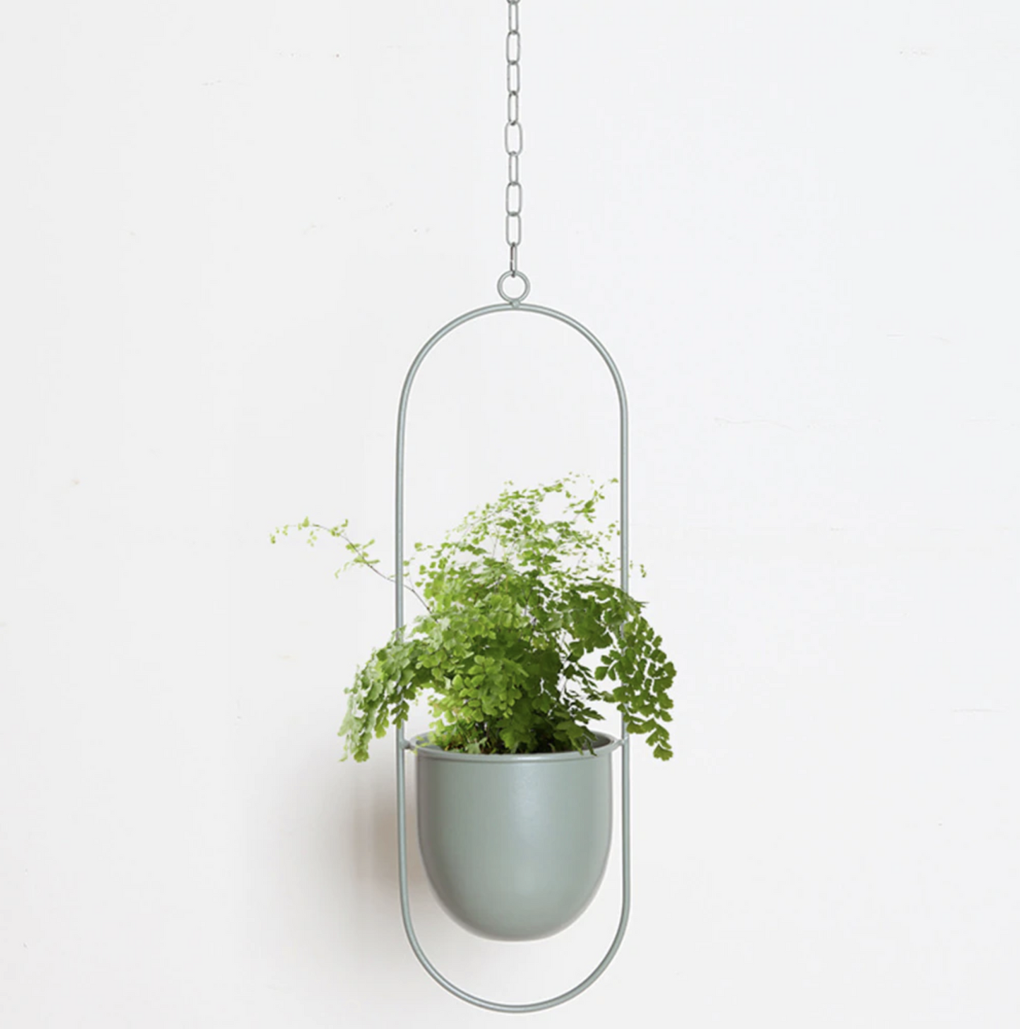 FloraFrame Hanging Planter