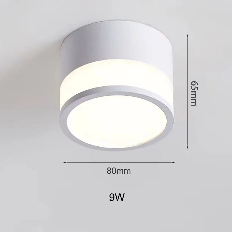 Nordic Surface Mounted LED Downlight